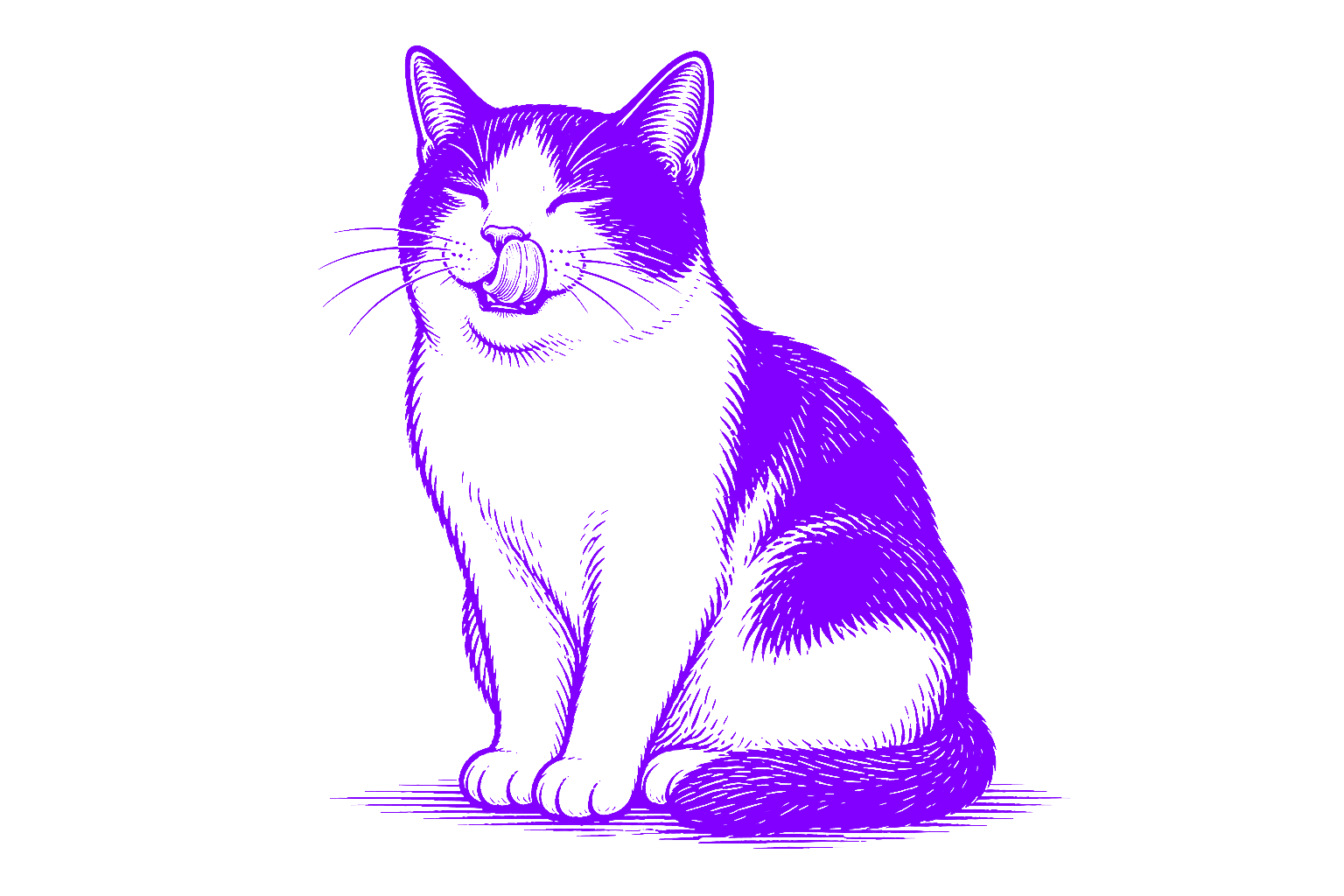 katzenbetreuung-krems1