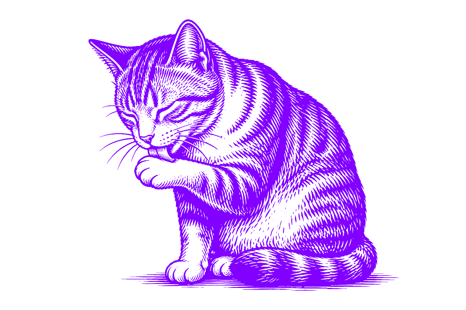 katzenbetreuung-krems3