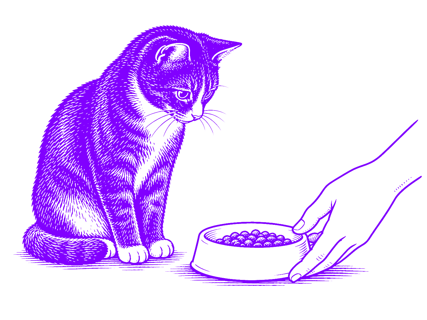 katzenbetreuung-krems4