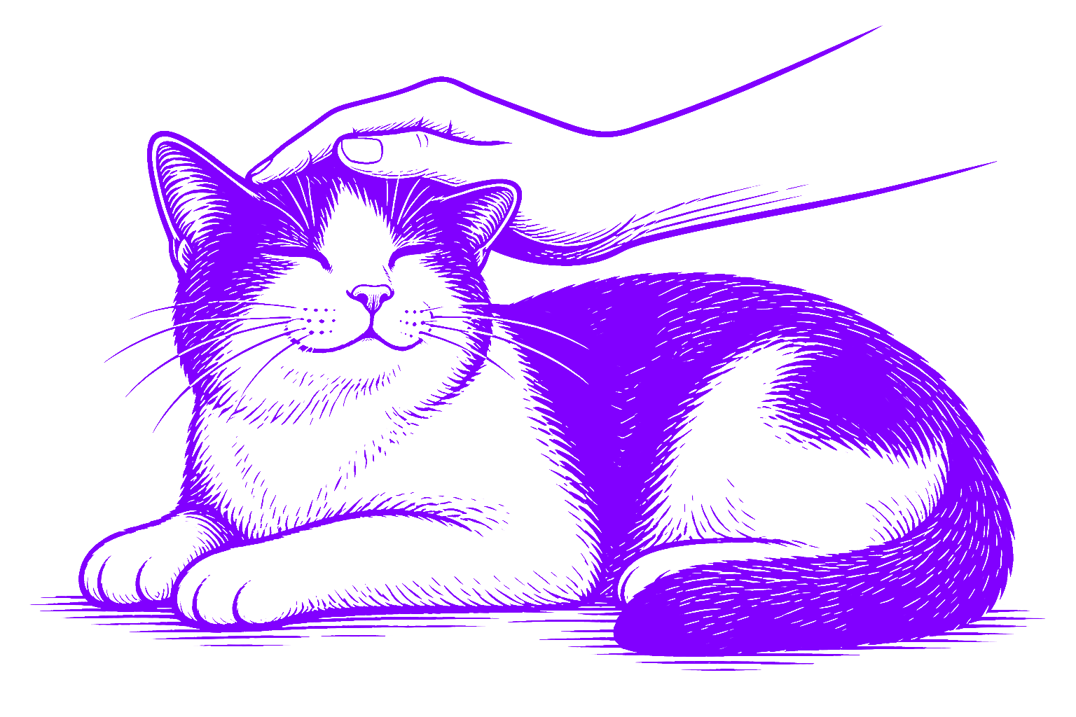 katzenbetreuung-krems5
